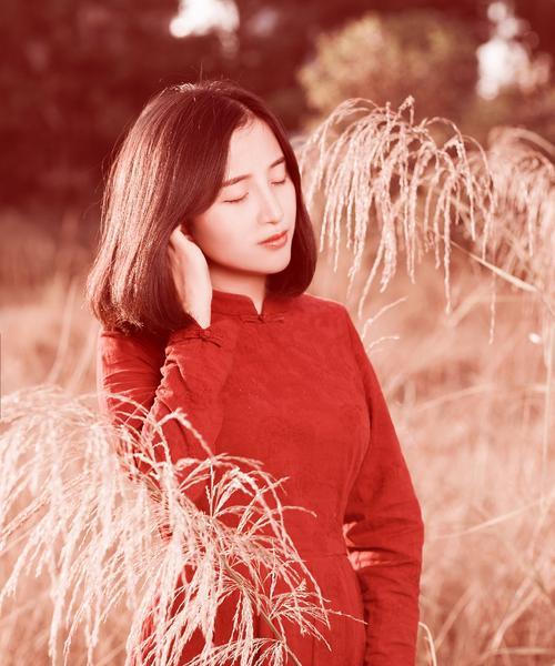 粉色芦苇代表什么？粉色芦苇的花语是什么？