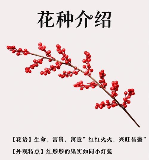 哪种花送给长辈寓意家庭美满？