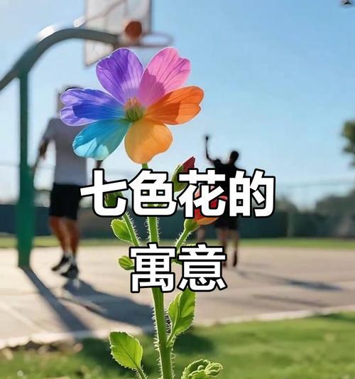 七色花的理论意义是什么？它们象征着什么？
