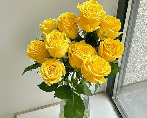淡黄色玫瑰花代表什么含义？
