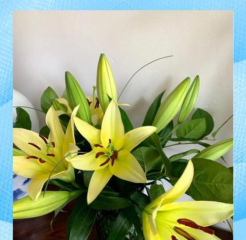 过节时家里摆放什么花最合适？这些花的寓意是什么？