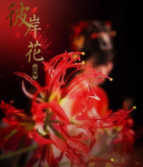 哪些花象征着爱情的逝去？