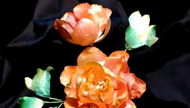 哪些花不需要节日赋予特别意义？