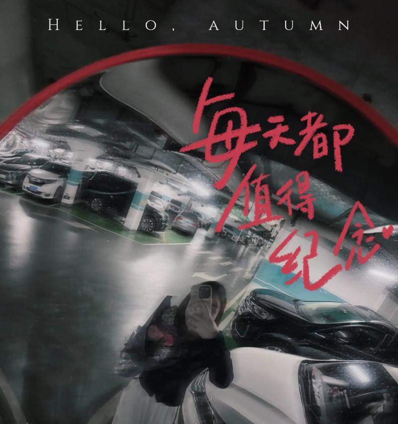哪些花不需要节日赋予特别意义？