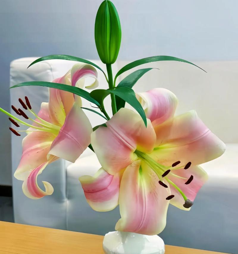 生日快乐送百合花的寓意是什么？百合花代表什么？