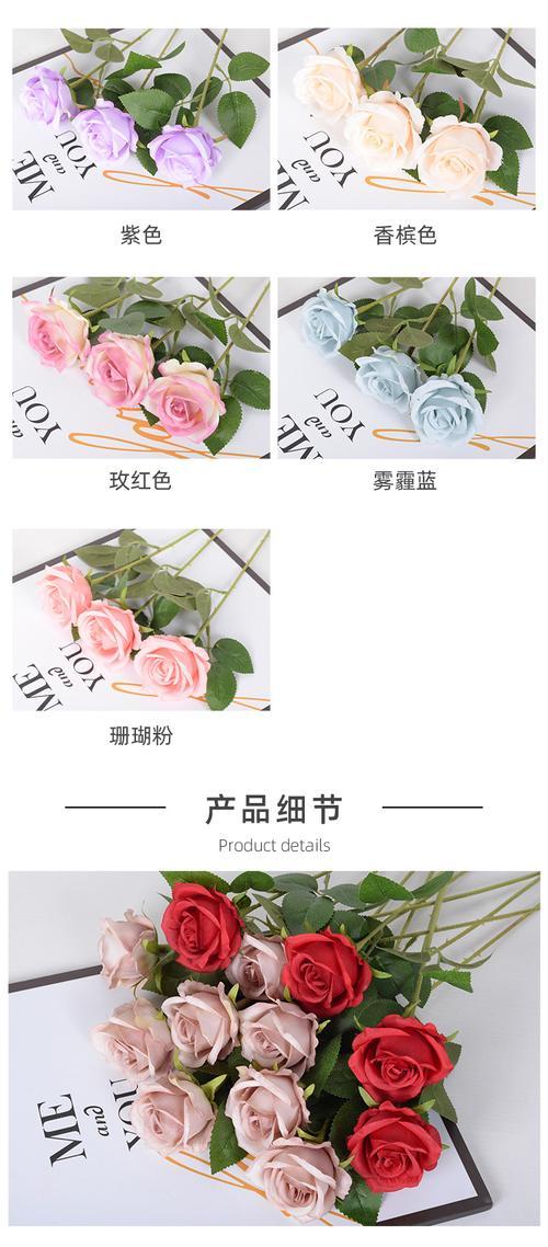 香槟色的花代表什么？粉橘色的寓意是什么？