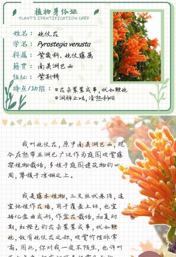 秋冬季节有哪些浪漫花语？这些花语代表的意义是什么？