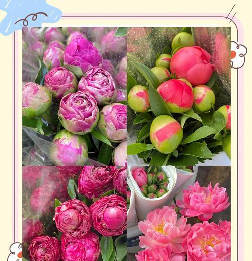 古代哪种花象征爱情长久？