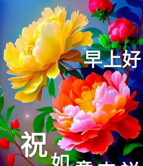 哪种花代表快乐的寓意？