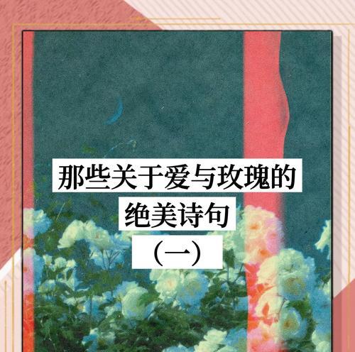 玫瑰花代表爱情的下一句是什么？