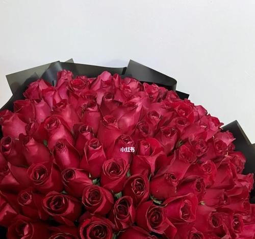 99朵杂色玫瑰花的寓意是什么？它象征着什么？