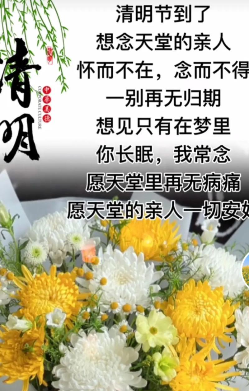 清明时节的花语是什么？清明花的寓意有哪些？