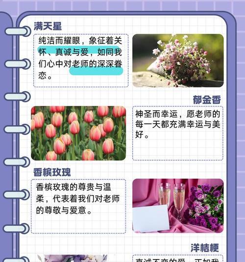教师节送花束的花语是什么？