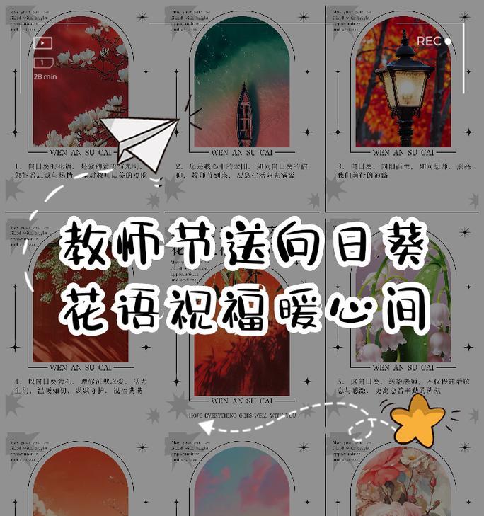 教师节送花束的花语是什么？