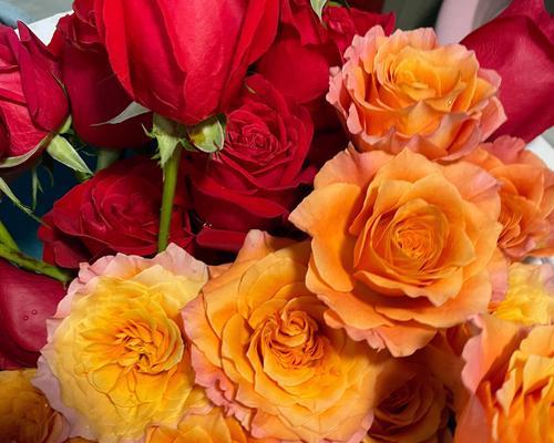 红色吊钟花的寓意是什么？它的花语有哪些？