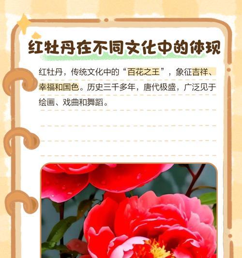 哪种红色的花象征死亡？