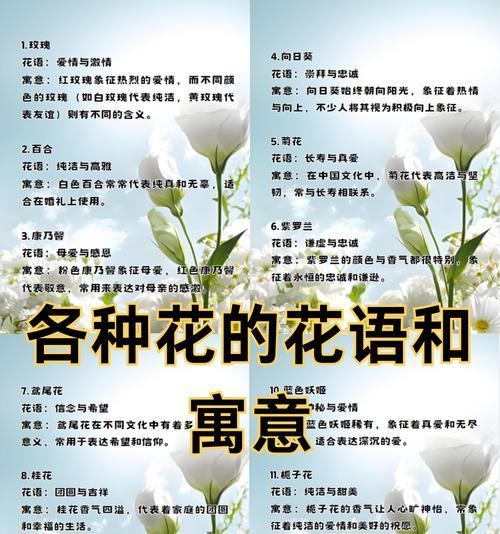 紫白色的花的含义和寓意是什么？它代表了什么？