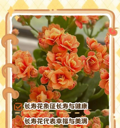 哪些诗句描绘了花的吉祥寓意？花的吉祥寓意在诗中如何体现？