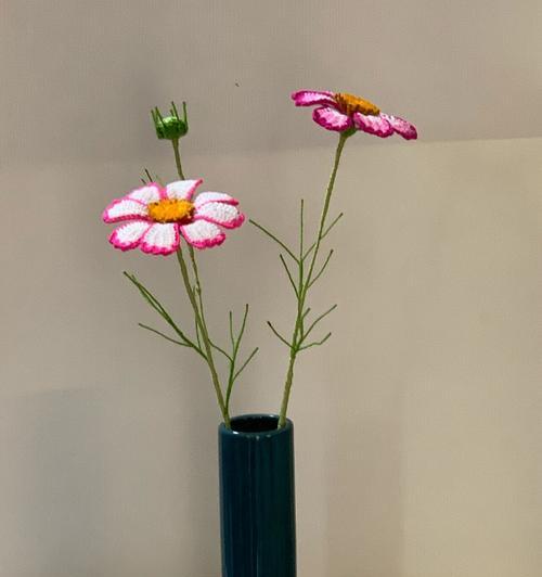 哪种花寓意温暖阳光和幸福？幸福花的象征意义是什么？