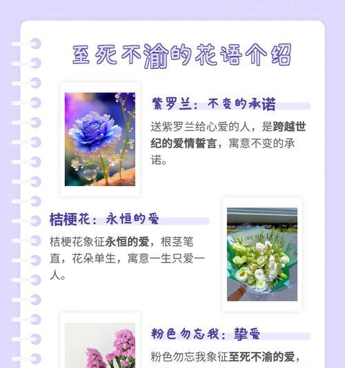 哪种花代表亲情与爱情？