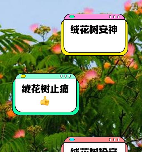 打树花活动的文化意义是什么？寓意有哪些？