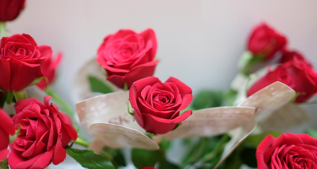 哪种花寓意爱情？花意中代表爱情的花有哪些？