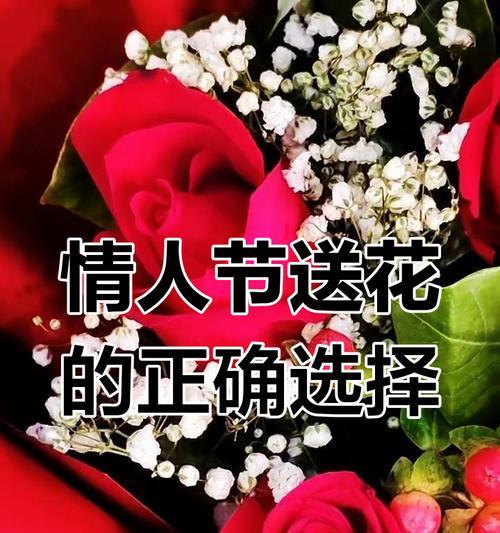 情人节送花有哪些特别的寓意？