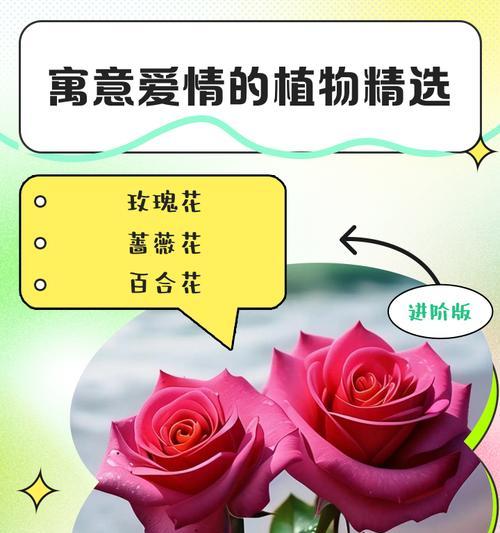 少年爱情的象征花有哪些？少年爱情的花语是什么？