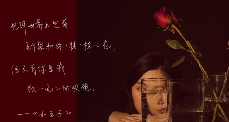十二朵黑色玫瑰花代表什么？它们的寓意是什么？