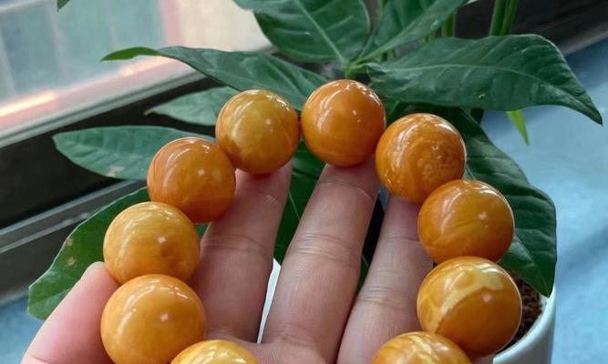蜜蜡色花代表什么？这种颜色的花有什么特别含义？