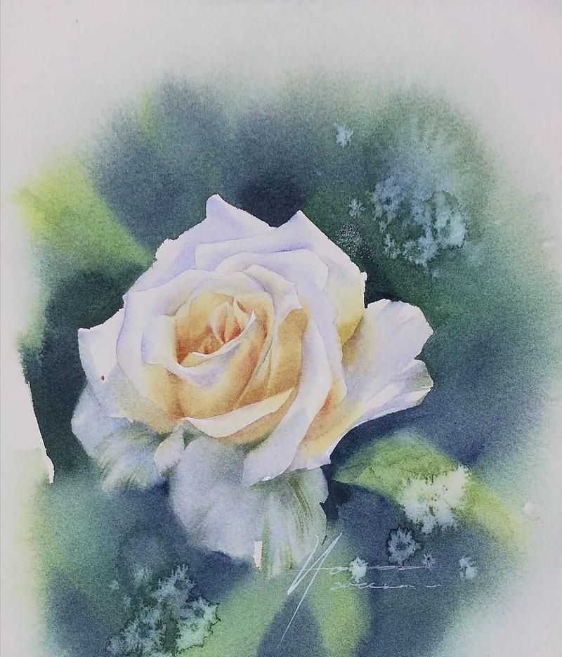 4朵黄色玫瑰花有何寓意？