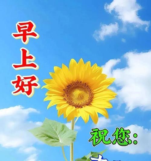 哪种花寓意着愿你幸福？