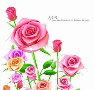 彩色铅笔玫瑰花代表什么？送彩色铅笔玫瑰花的寓意是什么？