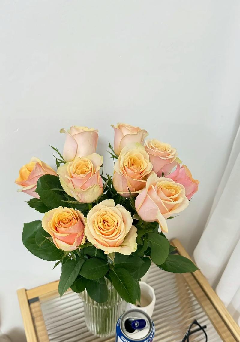 哪种花代表宠爱的爱情？