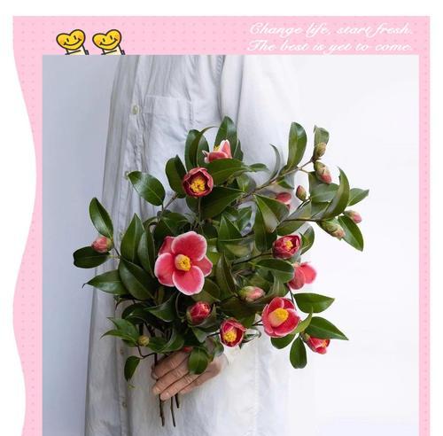 哪种花寓意错过的爱情？错过爱情的花语有哪些？