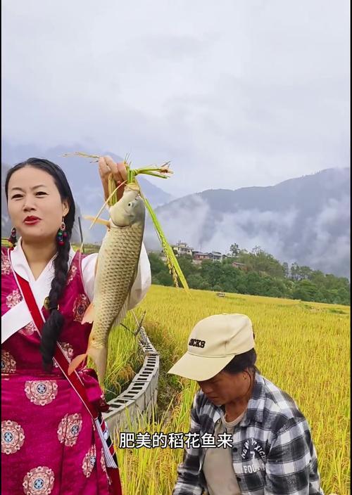 稻花鱼节的意义是什么？稻花鱼节象征着什么？