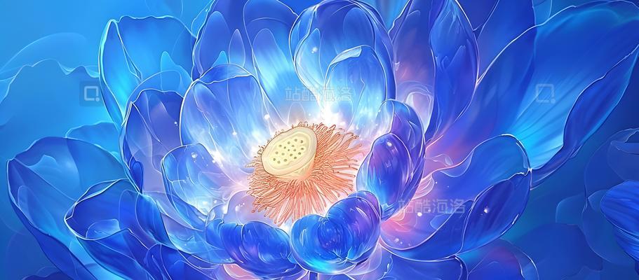 渐变蓝色花象征着什么？寓意有哪些？