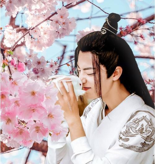 斗罗大陆中的花语有哪些祈福含义？如何用花语祈福？