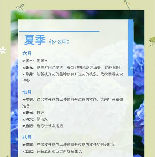 四色绣球花各自代表什么含义？