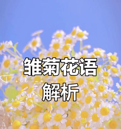 纯净花语节有哪些特别的花语含义？