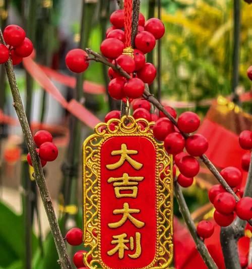 春节送花有什么寓意？哪些花代表美好祝福？