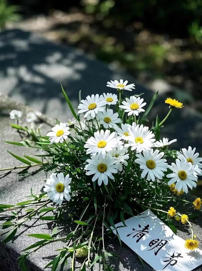 清明节带一朵花的寓意是什么？有什么特别含义？