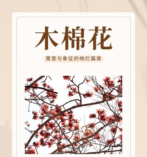 哪种花象征着唯美的爱情？象征唯美爱情的花有哪些？