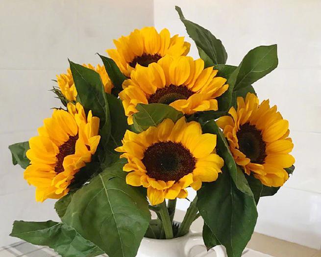 春节送什么花象征友谊？