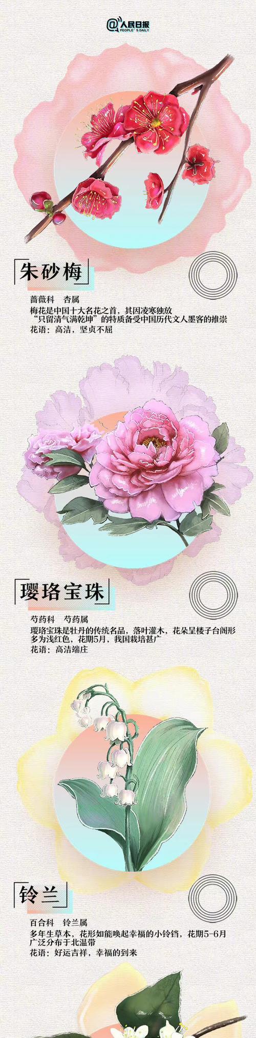 浪漫花语毯是什么？它的寓意有哪些？