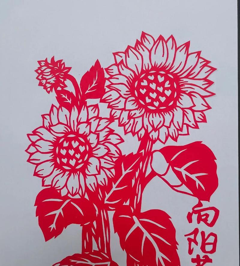 寓意健康成功的花有哪些？如何选择寓意积极向上的花？