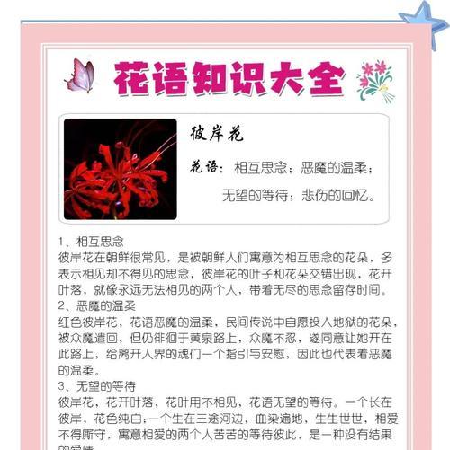 彼岸花代表什么爱情？彼岸花花语有何寓意？