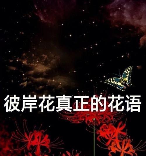 彼岸花代表什么爱情？彼岸花花语有何寓意？
