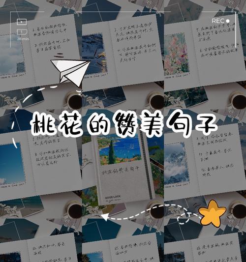 桃花的花语是什么？桃花为何象征长寿？