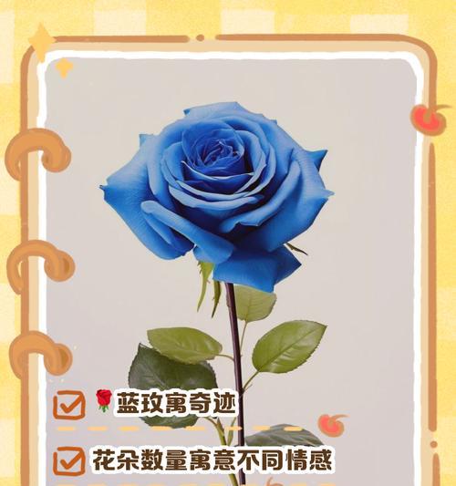 蓝色球花的花语是什么？蓝色球花的寓意有哪些？